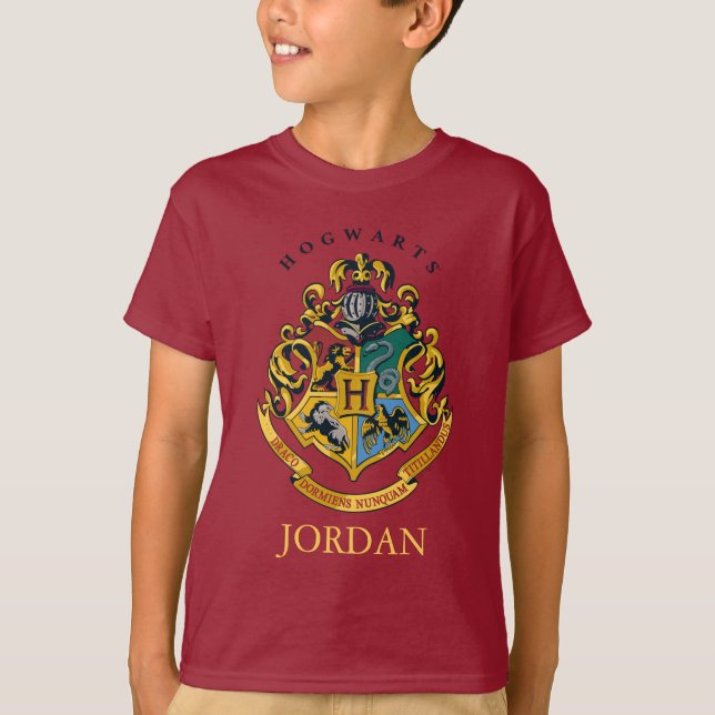 Camiseta Harry Potter | Brasão de Hogwarts - Colorido (Frente)