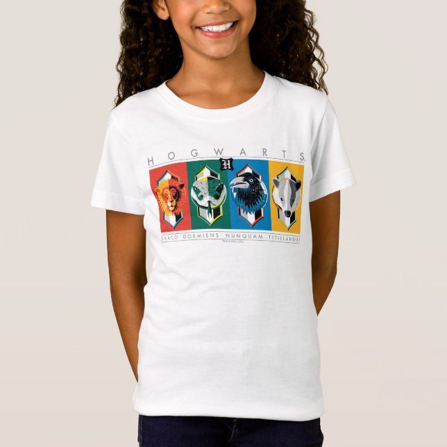 Camiseta Harry Potter | Brasões das Casas de HOGWARTS™ (Frente)
