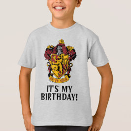 Camiseta Harry Potter | Grifinória - É Meu Aniversário