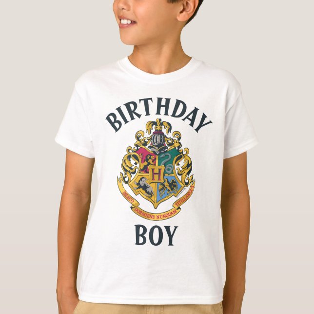 Camiseta Harry Potter | Menino do Aniversário de H (Frente)