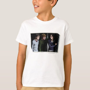 Camiseta Harry, Ron e Hermione 4