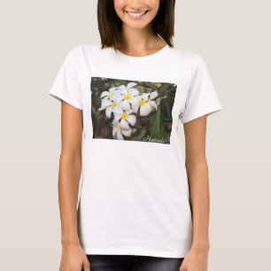 Camiseta Havaí, Plumeria, flores brancas no t-shirt das