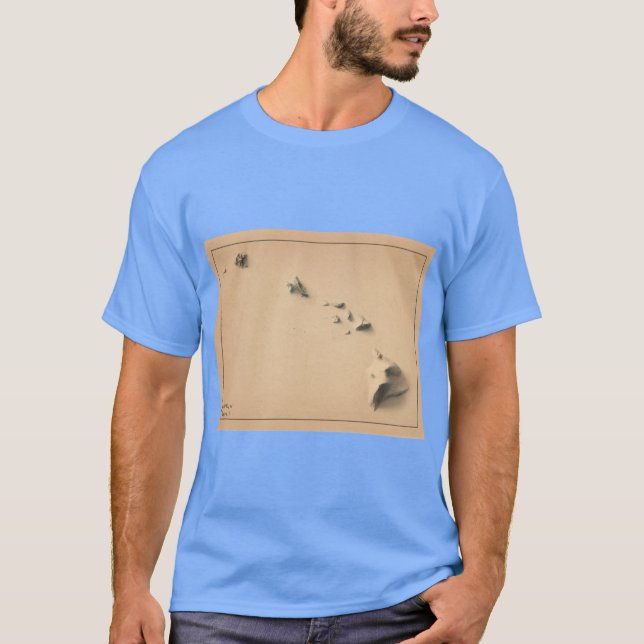 Camiseta Havaí Shaded Map de Alivio 3D digitalmente renderi (Frente)