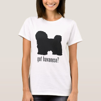 Camiseta Havanese