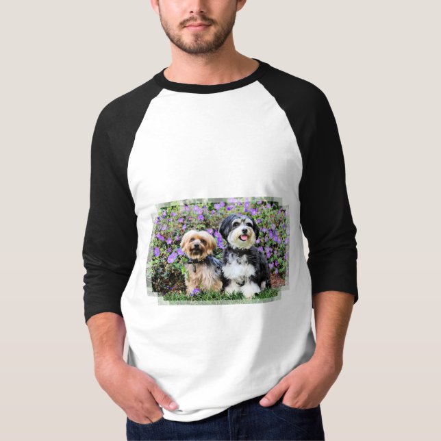 Camiseta Havanese - Lola & Yorkie - Molly (Frente)