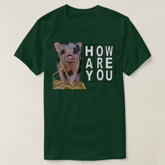 Camiseta Hay How Are You Pig  (Frente do Design)