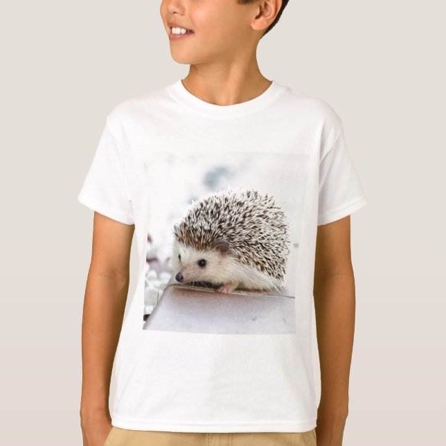 Camiseta Hedgehog (Frente)
