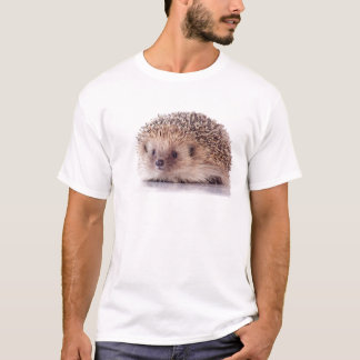 Camiseta Hedgehog,