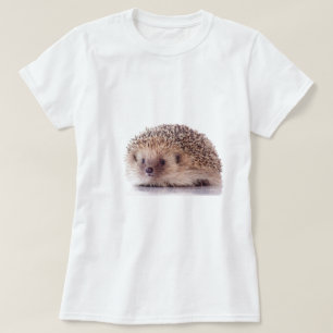 Camiseta Hedgehog,