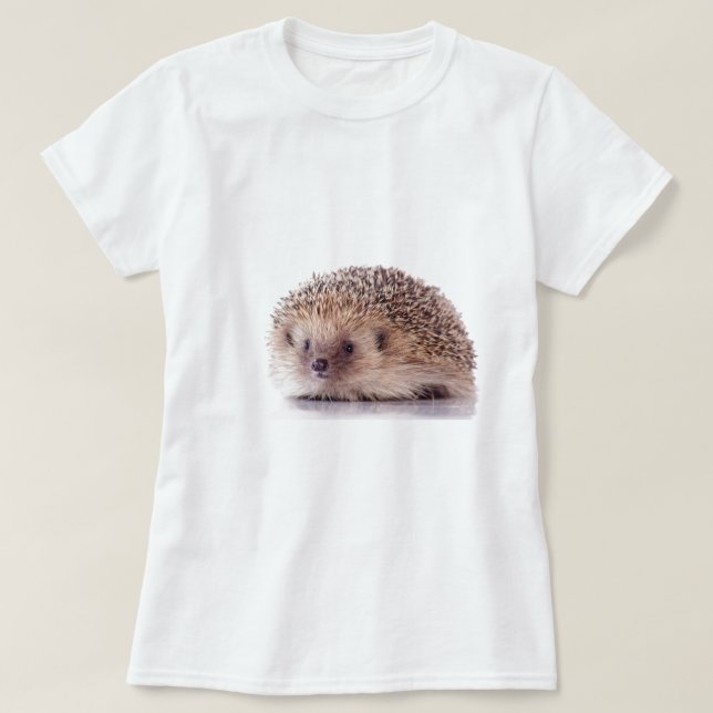 Camiseta Hedgehog, (Frente do Design)