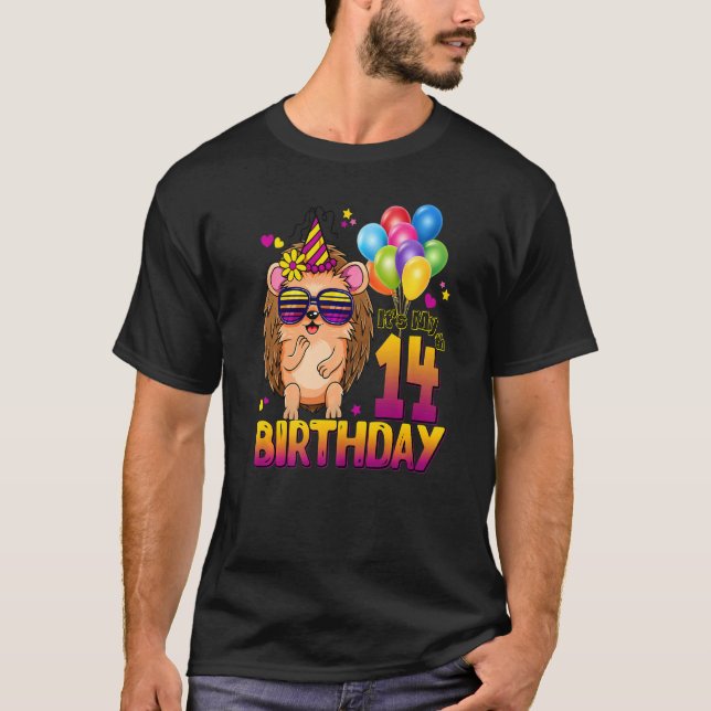 Camiseta Hedgehog 14 Birthday, 14 anos (Frente)