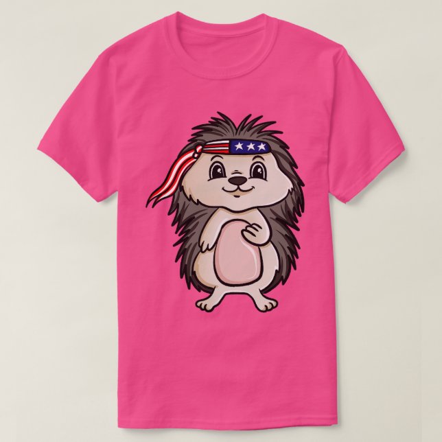 Camiseta Hedgehog Americano (Frente do Design)
