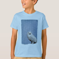 Hedwig 2