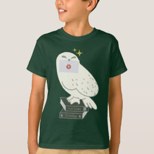 Camiseta Hedwig com Carta Desenho Caprichoso
