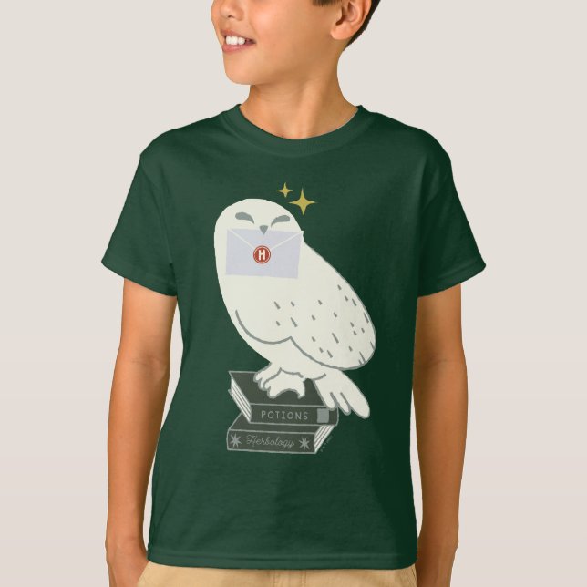 Camiseta Hedwig com Carta Desenho Caprichoso (Frente)