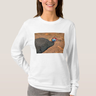 Camiseta Helmeted Guiné Fowl (Numida meleagris). África,