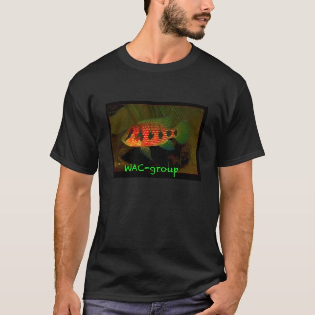 Camiseta Hemichromis elongatus (Frente)