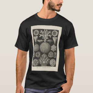 Camiseta Hepaticae Lebermoose Ernst Haeckel