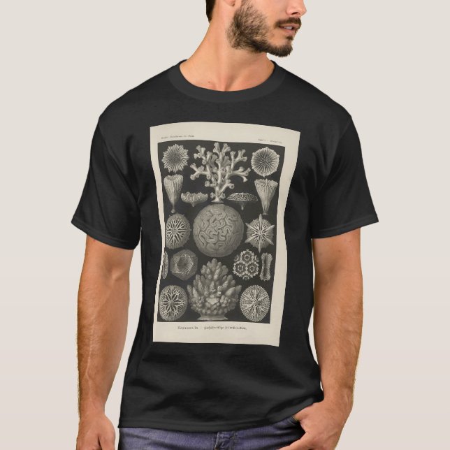 Camiseta Hepaticae Lebermoose Ernst Haeckel (Frente)
