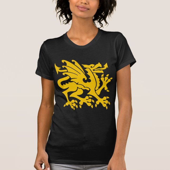 Camiseta Heraldic Dragon 01 - Amber (Frente)
