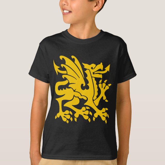 Camiseta Heraldic Dragon 01 - Amber (Frente)