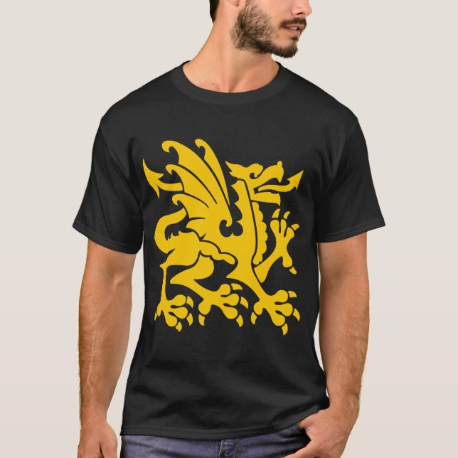 Camiseta Heraldic Dragon 01 - Amber (Frente)