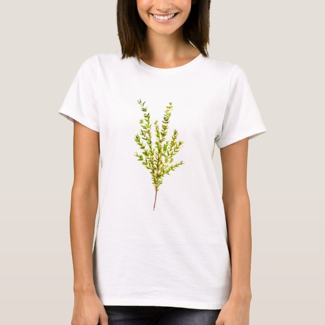 Camiseta Herbos por tomilho Herbácea botânica aquosa verde- (Frente)