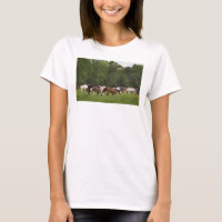 Herd de cavalos, Tennessee