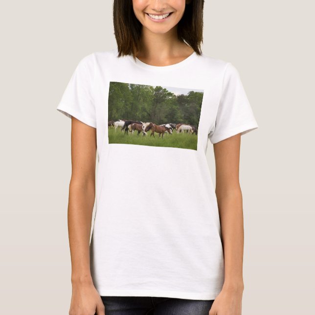 Camiseta Herd de cavalos, Tennessee (Frente)
