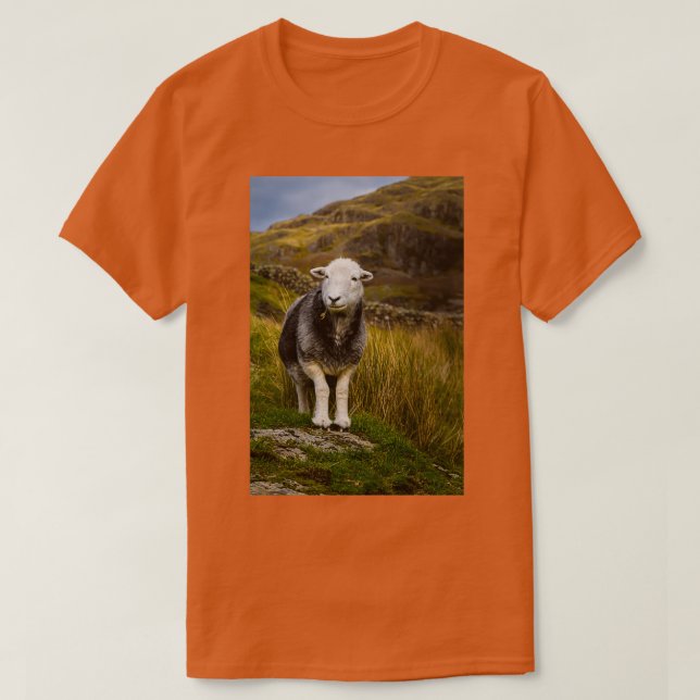 Camiseta Herdwick Sheep (Frente do Design)