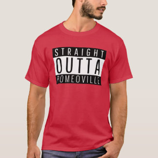 Camiseta Hetero Outta Romeoville Illinois Oversize