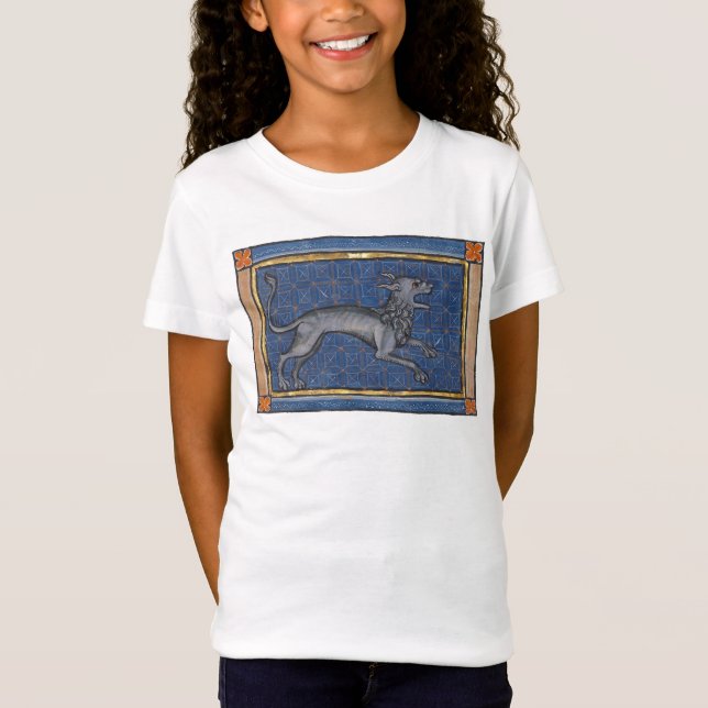 Camiseta Hiena Bestiária Medieval c. 1270 (Frente)