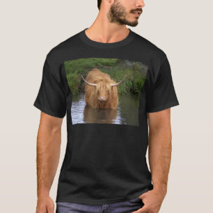 Camiseta Highland Cattle