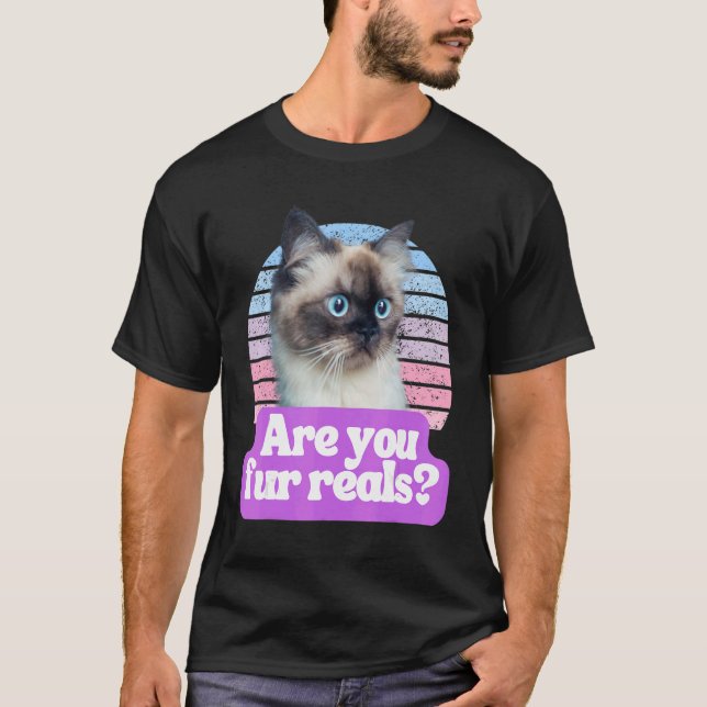 Camiseta Hillarie Cat Meme Feline É Você Pele É (Frente)