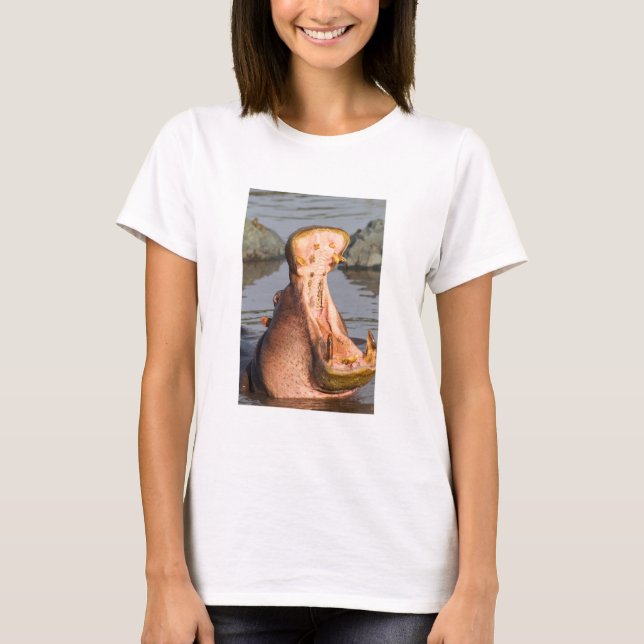 Camiseta Hipopótamo bocejando, Tanzânia (Frente)