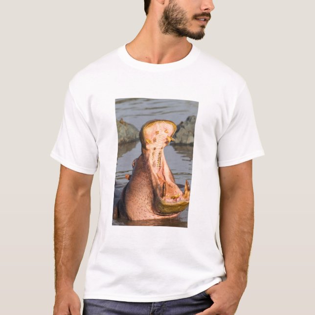 Camiseta Hipopótamo bocejando, Tanzânia (Frente)