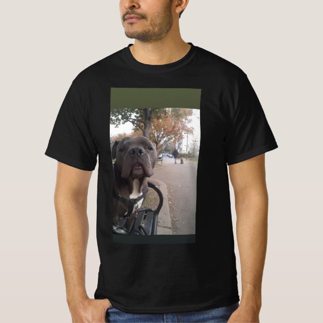 Camiseta Hippo (Frente)