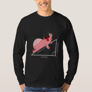 Camiseta Hippo Hipotenusa Triângulo Matemático