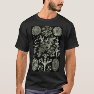 Camiseta História Natural Lichen