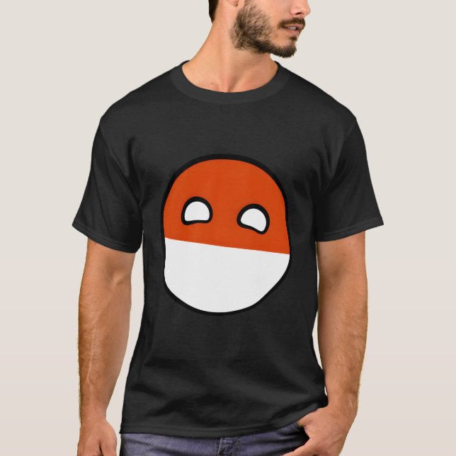 Camiseta Histórias em quadrinhos Polandball Countrybolas (Frente)