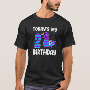 Camiseta Hoje É O Meu segundo aniversário Garotos Meninas L