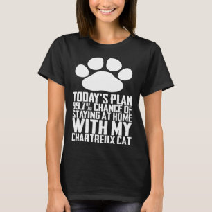 Camiseta Hoje é uma hipótese de ficar em casa com o meu pro