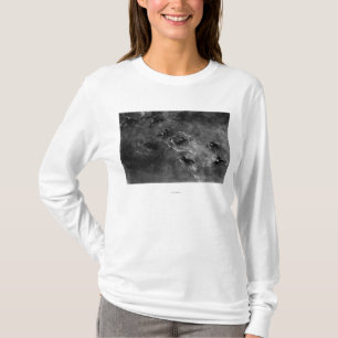 Camiseta Honolulu, HA - os meninos do mergulho aproximam o