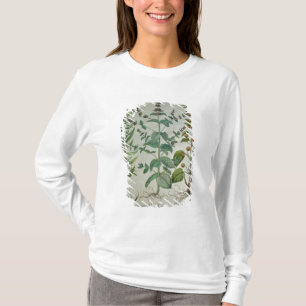 Camiseta Hortelã: Crispa do Mentha