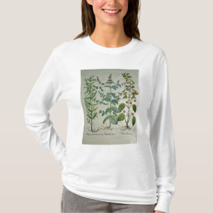 Camiseta Hortelã: Crispa do Mentha