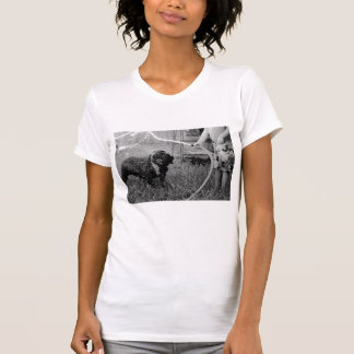 Camiseta Hosed