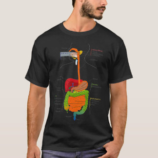 Camiseta Human Body Digestive System Gastrointestinal Tract