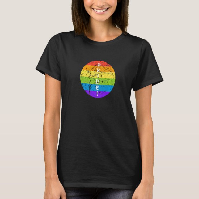 Camiseta Human Rights LGBTQ Pride Equality Celebration Gay  (Frente)