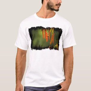 Camiseta Humboldt Lily Stamens