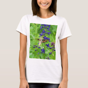 Camiseta Hummingbird